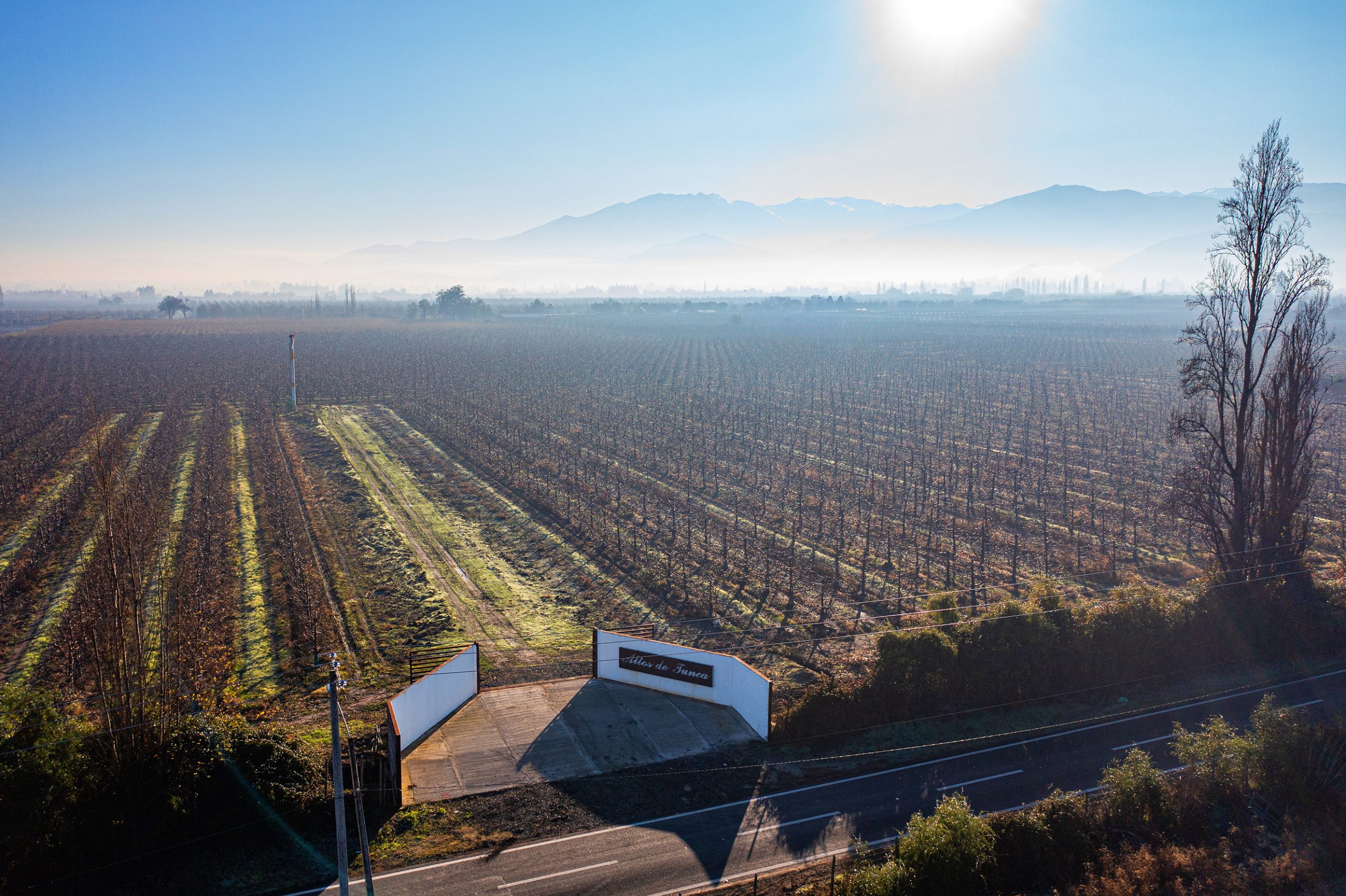 Parcelas Altos de Tunca